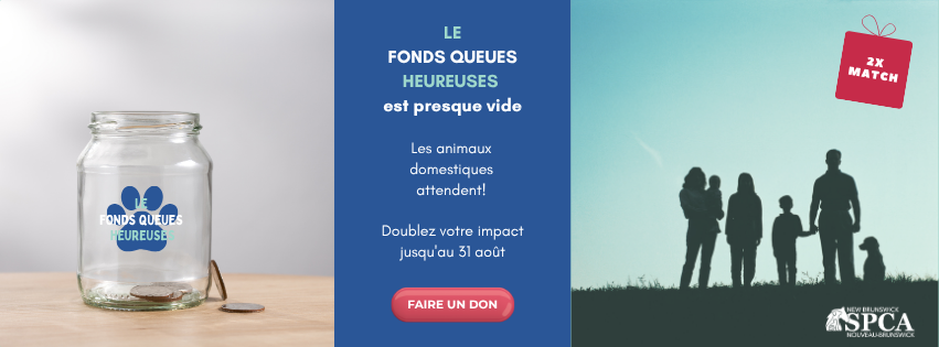 Le Fonds Queues Heureuses Campaign Banner