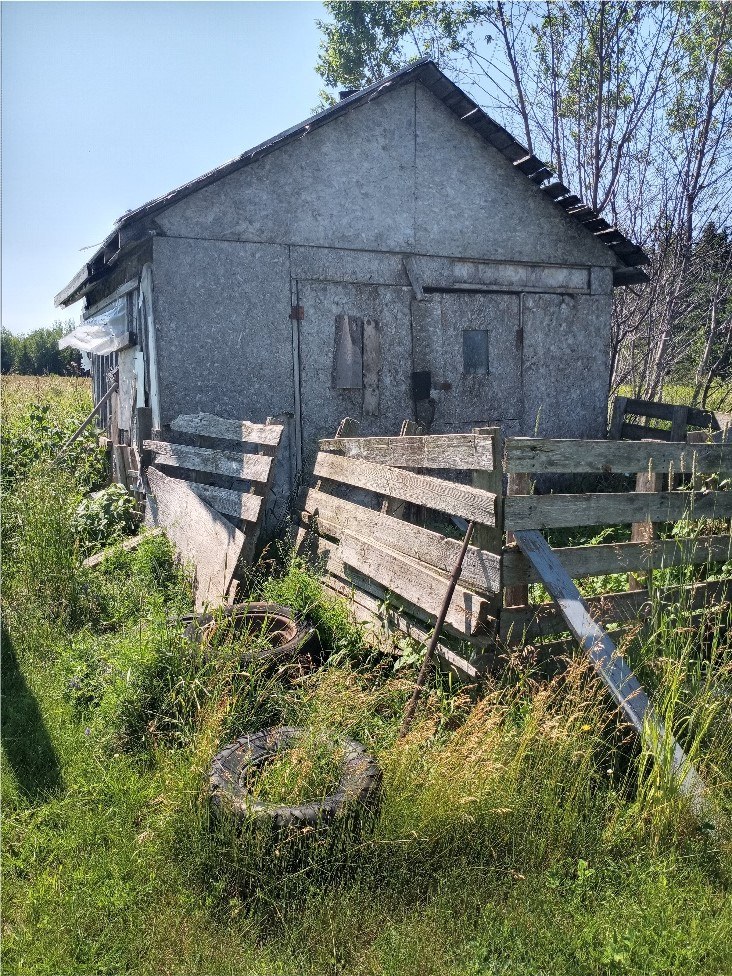 Dilapidated Shed where the dog were kept